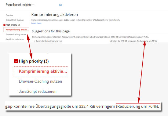 Pagespeed Analyse