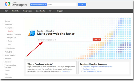 Pagespeed Analyse